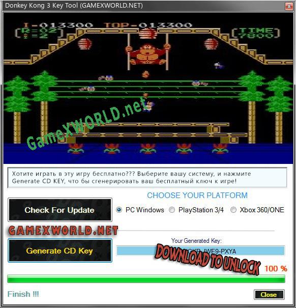Регистрационный ключ к игре  Donkey Kong 3