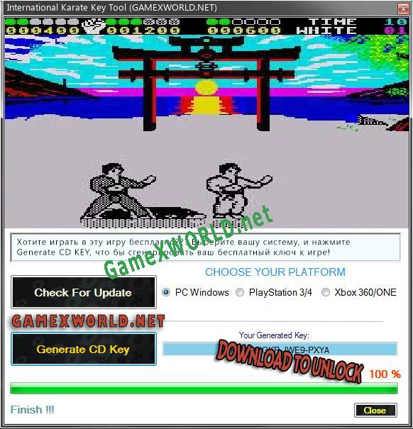 International Karate ключ бесплатно