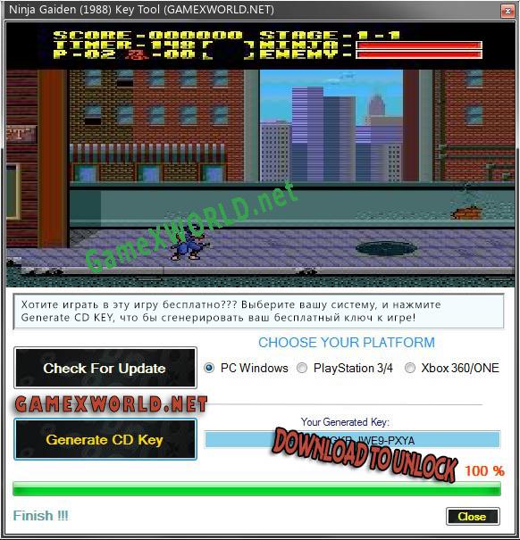 Ninja Gaiden (1988) генератор ключей