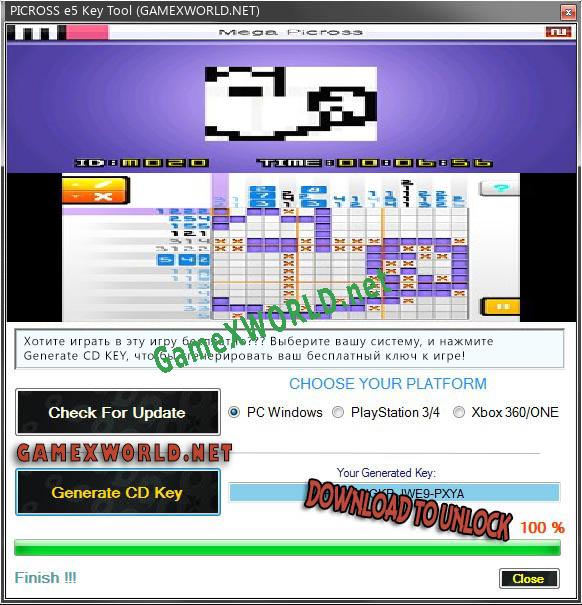 Ключ для PICROSS e5