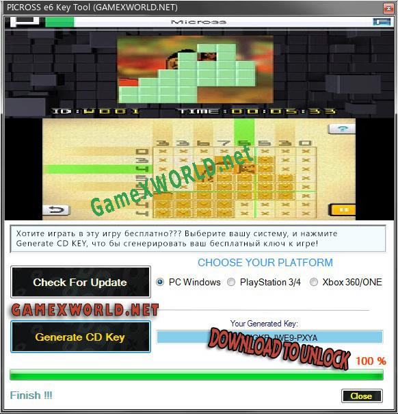 Ключ для PICROSS e6