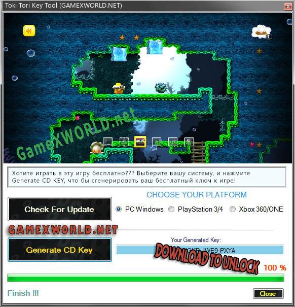 Регистрационный ключ к игре  Toki Tori