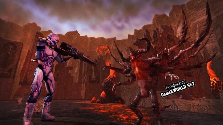 Русификатор для Anarchy Online