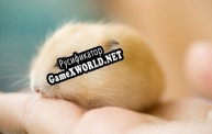 Русификатор для animals that are SO DARN CUTE bundle