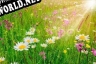 Русификатор для Bad Caterpillar (itch) (Memester1001)