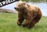 Русификатор для Battlebear4 ULTIMATE EDITION