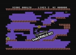 Русификатор для Beatnik Bert (C64) Commodore 64