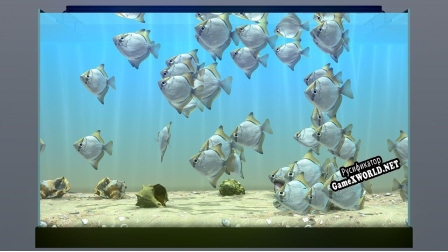 Русификатор для Behind Glass Aquarium Simulator