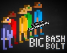Русификатор для Big Bash Bolt