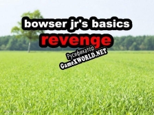 Русификатор для bowser jrs basics revenge
