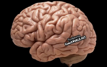 Русификатор для Brain rot