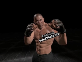 Русификатор для Brawler Boxing VR