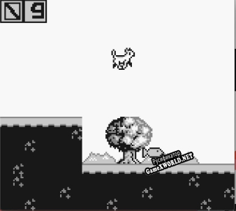 Русификатор для Cat Catch (Gameboy Game)