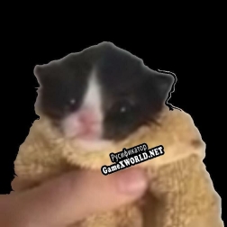 Русификатор для Cat Clicker (CatMeowlol)