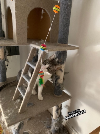 Русификатор для Cat Clicker (itch)