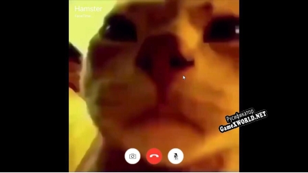 Русификатор для Cat Facetime