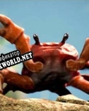 Русификатор для Crab Rave The Game