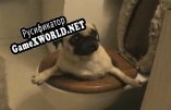 Русификатор для CWOPlaytests