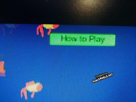 Русификатор для Divers life
