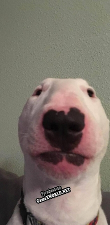 Русификатор для Dog Button
