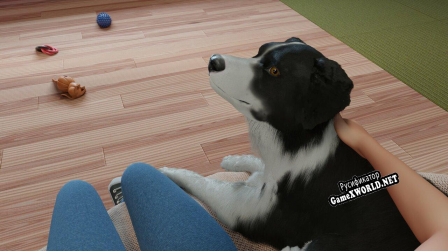 Русификатор для Dog Trainer