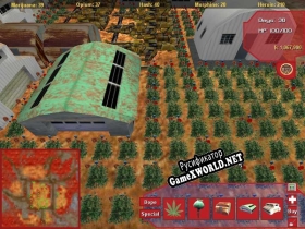 Русификатор для Dope Game, The (2005)