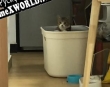 Русификатор для Drum Cat
