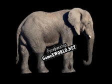 Русификатор для elephants on ketamine