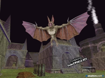 Русификатор для EverQuest Planes of Power
