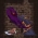 Русификатор для Evil Wizard (awxy)