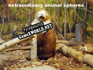Русификатор для Extraordinary Animal Spheres