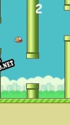 Русификатор для Flappy Bird (Fan-project)