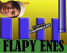 Русификатор для Flapy Enes