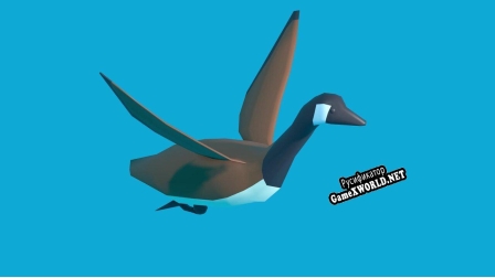 Русификатор для Flock (CGCOOKE)