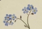 Русификатор для Forget-Me-Not Preview