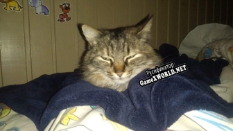 Русификатор для GatosoMen Teste