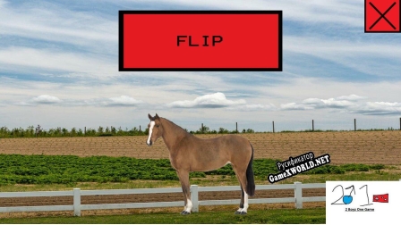 Русификатор для Horse Flipper