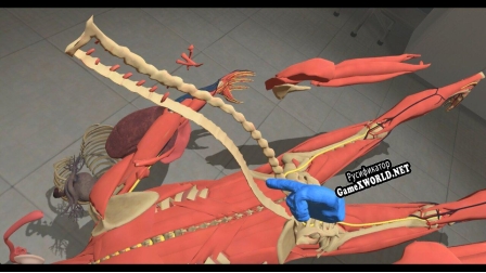 Русификатор для Human Constructor VR