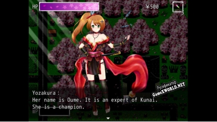 Русификатор для Kunoichi Ninja