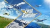 Русификатор для microsoft flight simulator