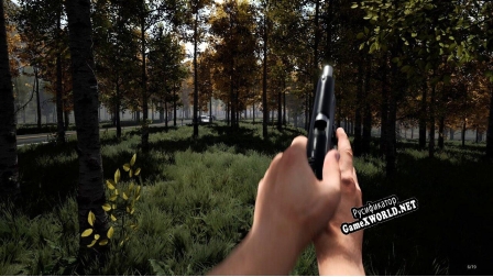 Русификатор для Mist Survival