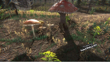 Русификатор для Mushroom Challenge