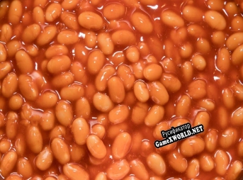 Русификатор для My talking bean
