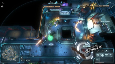 Русификатор для Natural Selection 2