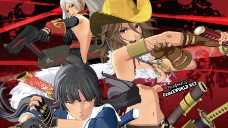 Русификатор для OneChanbara ORIGIN