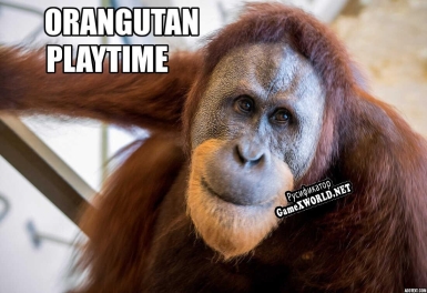 Русификатор для Orangutan Playtime