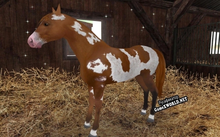 Русификатор для Planet Horse