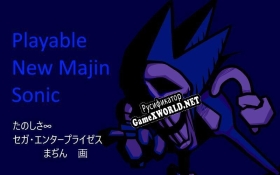 Русификатор для Playable New Majin Sonic