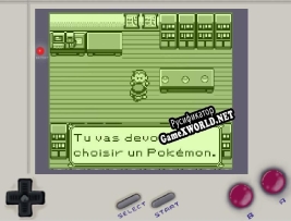 Русификатор для Pokemon Glitch Version