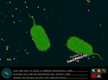 Русификатор для P.tree Single-Cell Simulator